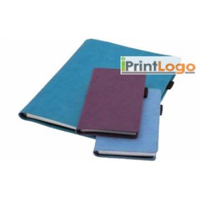 DIARIES-IGT-SV4302
